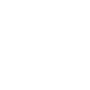 DSLR camera